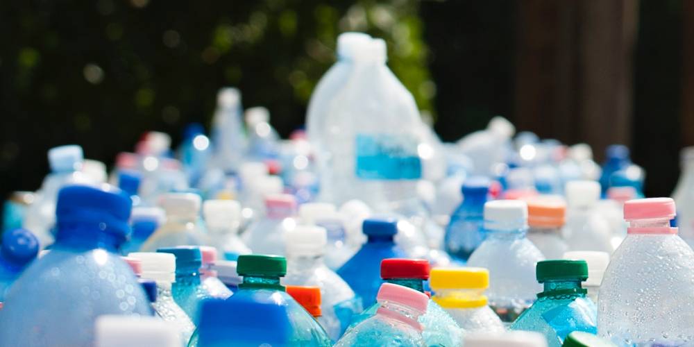 Rise of the Plastics Ban