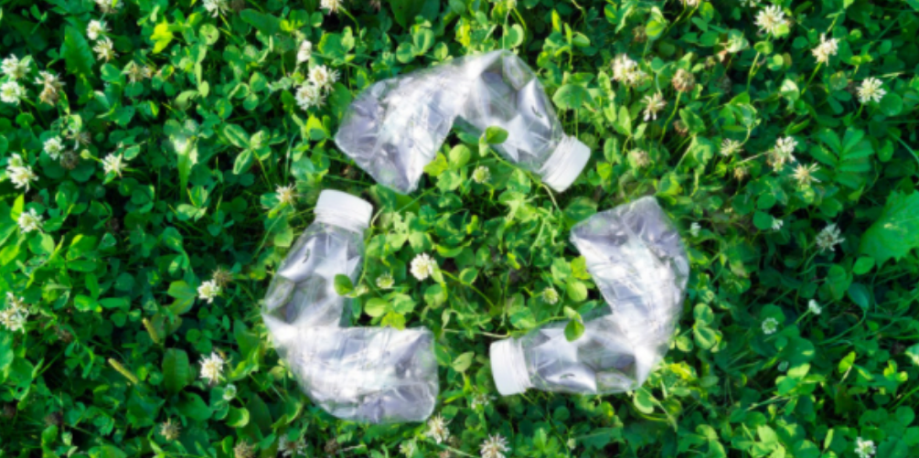 Go Green for St. Patrick’s Day: Five Tips to Improve Your Recycling